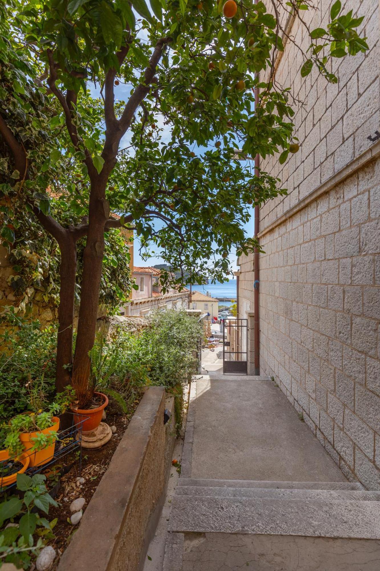 דוברובניק Ragusina Luxury Apartments מראה חיצוני תמונה